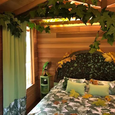 Dream Tree House *
