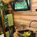 Luxuszelt Dream Tree House