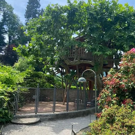 Luxussátor Dream Tree House *