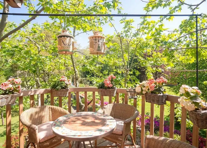 Dream Tree House