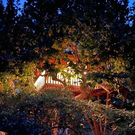 Luxury tent Dream Tree House