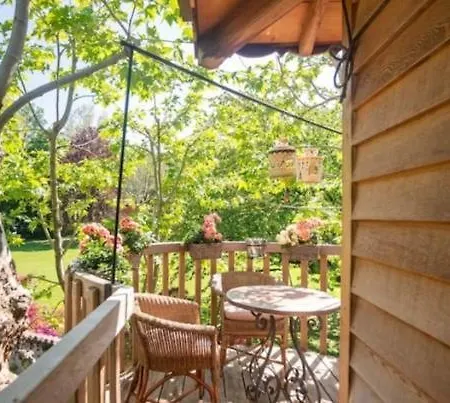 Dream Tree House *