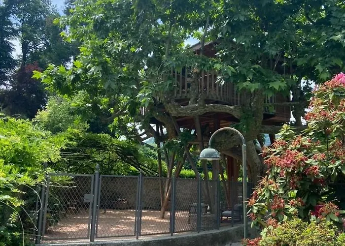 Luksusowy namiot Dream Tree House *