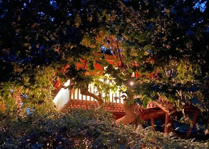 Luksusowy namiot Dream Tree House