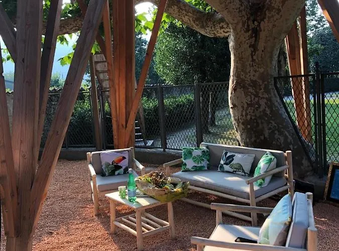Dream Tree House