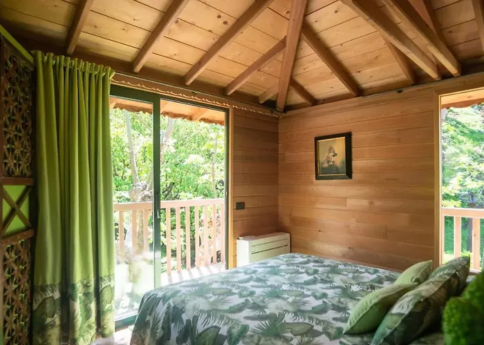 Dream Tree House Luksusowy namiot *