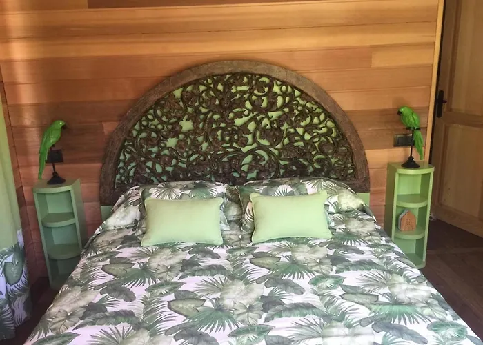 Dream Tree House